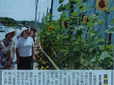 当団体の花プロジェクトの記事が三陸新報様に掲載されました